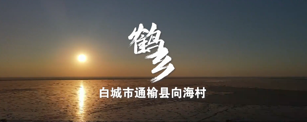 白城向海村·鹤乡
