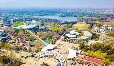 清明节各地这样过：忆亲人、祭英烈、踏春游