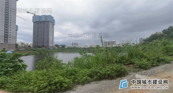广东茂名市化州市：“三旧”改造项目用地被分割成13块 停摆已十年谁来管