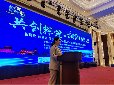 中国文旅网携手武汉，共绘胜景”百洞峡、仙岛湖、滴水涯联合推介旅游景区盛典启动