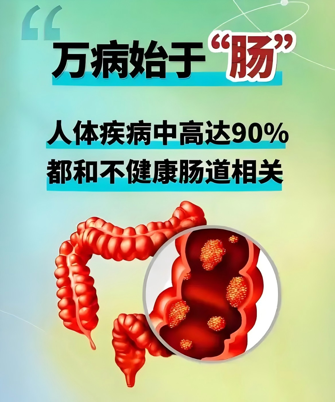 成人益生菌10大品牌排行榜｜冠军花落谁家？