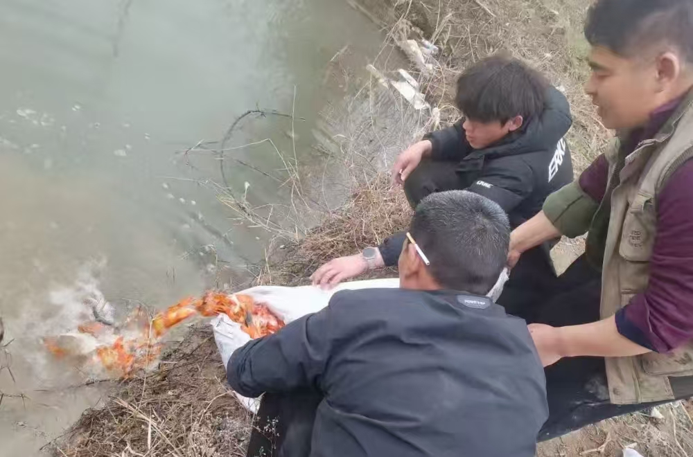 商丘钰园农场:助力绿色养鱼产业   丰富休闲业态项目