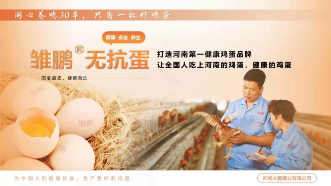 一枚“无抗蛋”的初心与担当