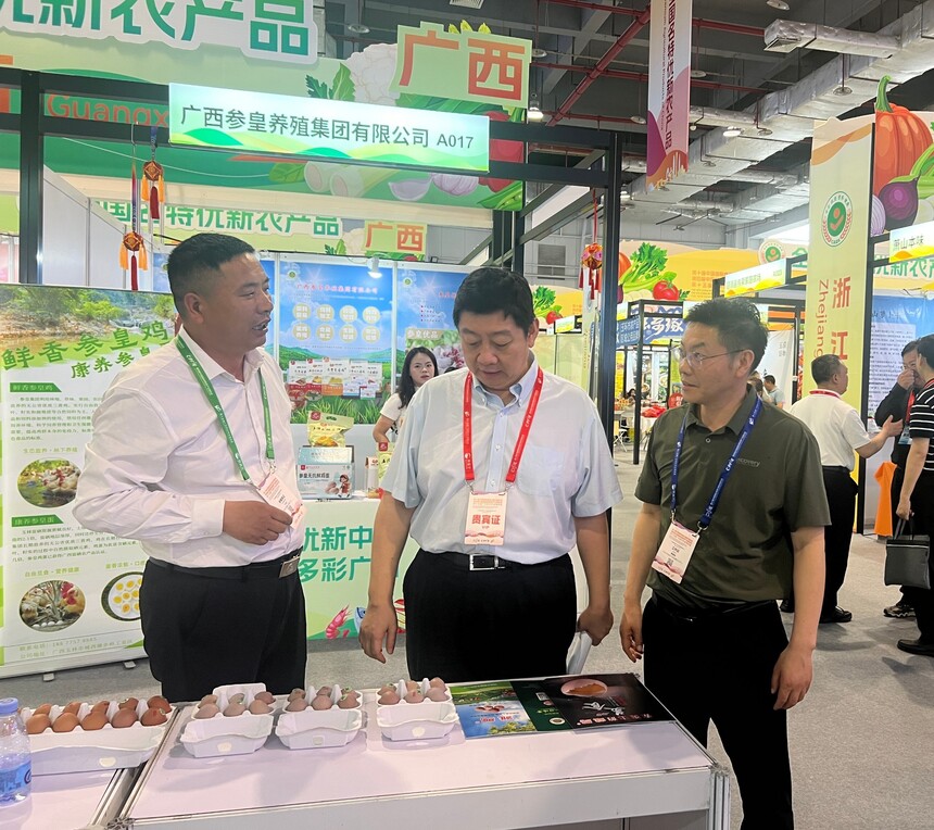 雏鹏鸡蛋亮相2026东莞食博会 豫农优品闪耀大湾区市场